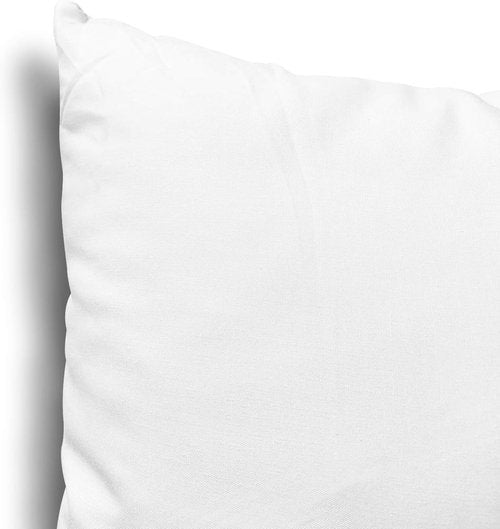 EDOW Throw Pillow Inserts - Set of 2 Lightweight Down Alternative Polyester Cushions | Machine Washable, 18x18, White