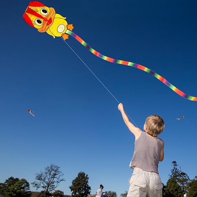 Duck Pattern Kites for Kids, Cute Large Kite Duck Kite with Long Colorful Tail for Kids & Adults, Easy to Fly Kite for Beginners Outdoor Activities