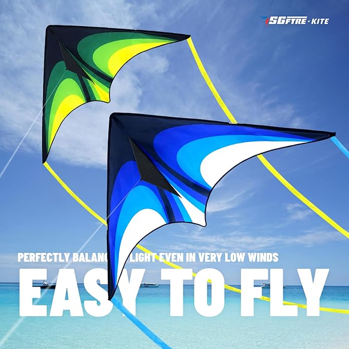 Two Piece Large Delta Kite for Kids & Adults Easy to Fly,Beach Trip Outdoor Games Single Line String with Tail,Easy Flying Colorful Life Delta Huge Kite(Green+Blue, 2)