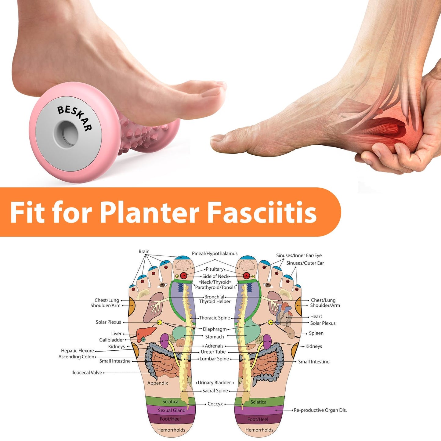 BESKAR Foot Massager Roller for Plantar Fasciitis Relief, Portable Feet Roller to Deep Tissue Muscle Massage, Foot Arch and Heel Pain, Reflexology Tool
