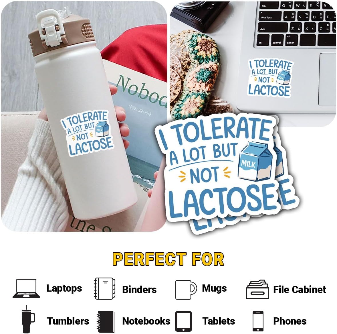 3Pcs Toolbox 3" I Tolerate a Lot But Not Lactose Sticker Fun and Funny Lactose Intolerant Stickers Gift for Milk Joke