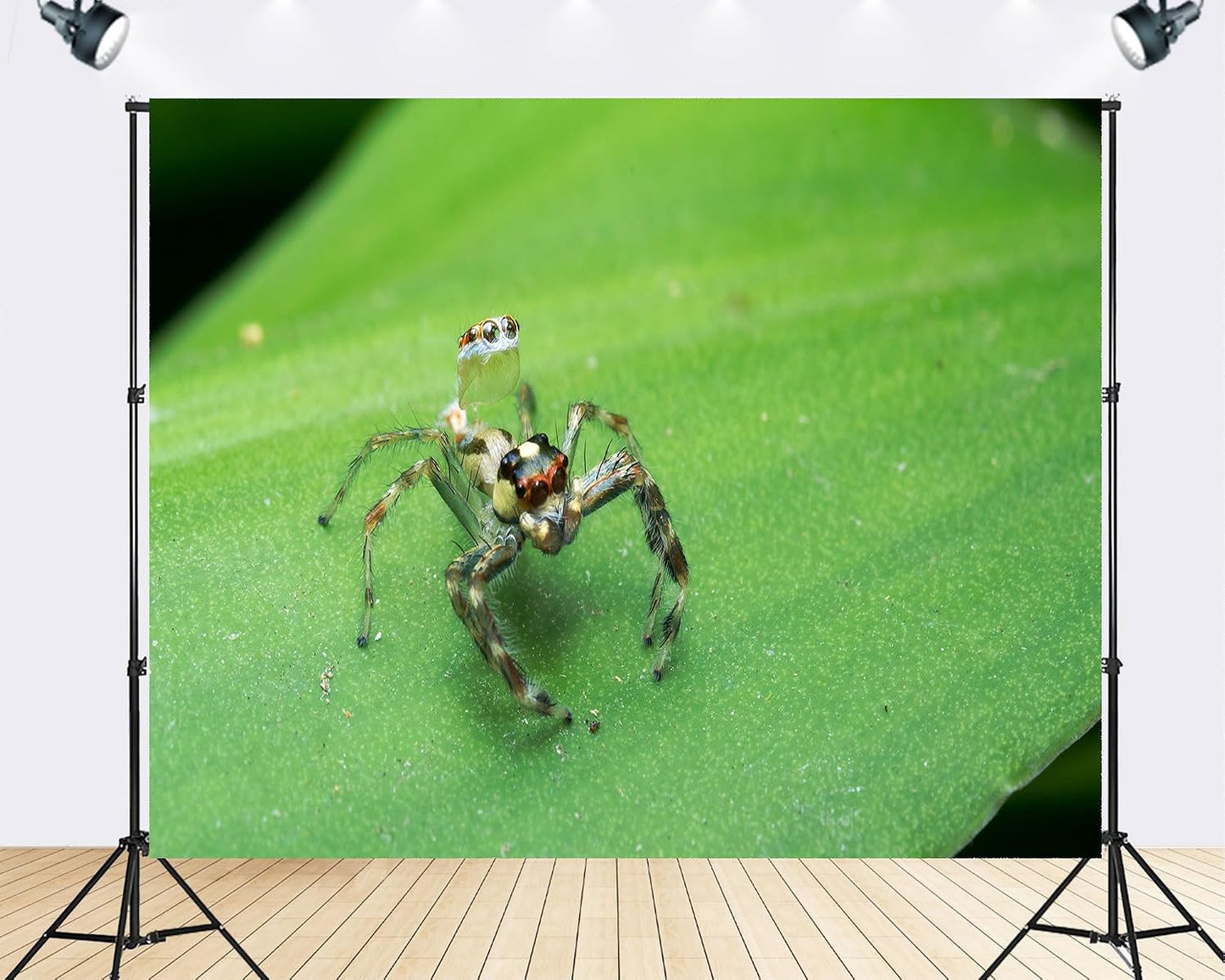 TryKid 8x8ft Jumping Spider Leaf Backdrop Macro Insect Green Plant Photography Background Science Education Nature