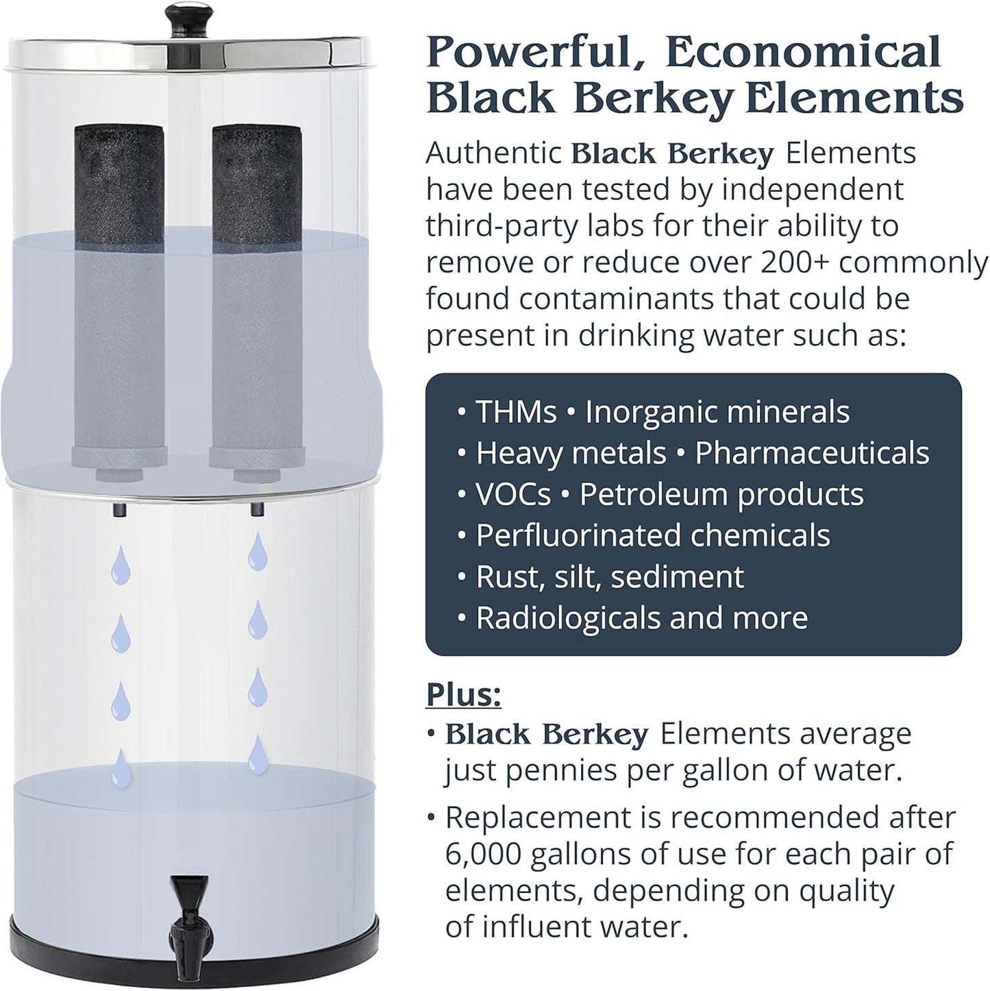 Big Berkey Gravity-Fed Water Filter System 2.25 Gallon with 2 Black Berkey Elements, 2 PF-2 Fluoride and Arsenic Reduction Elements