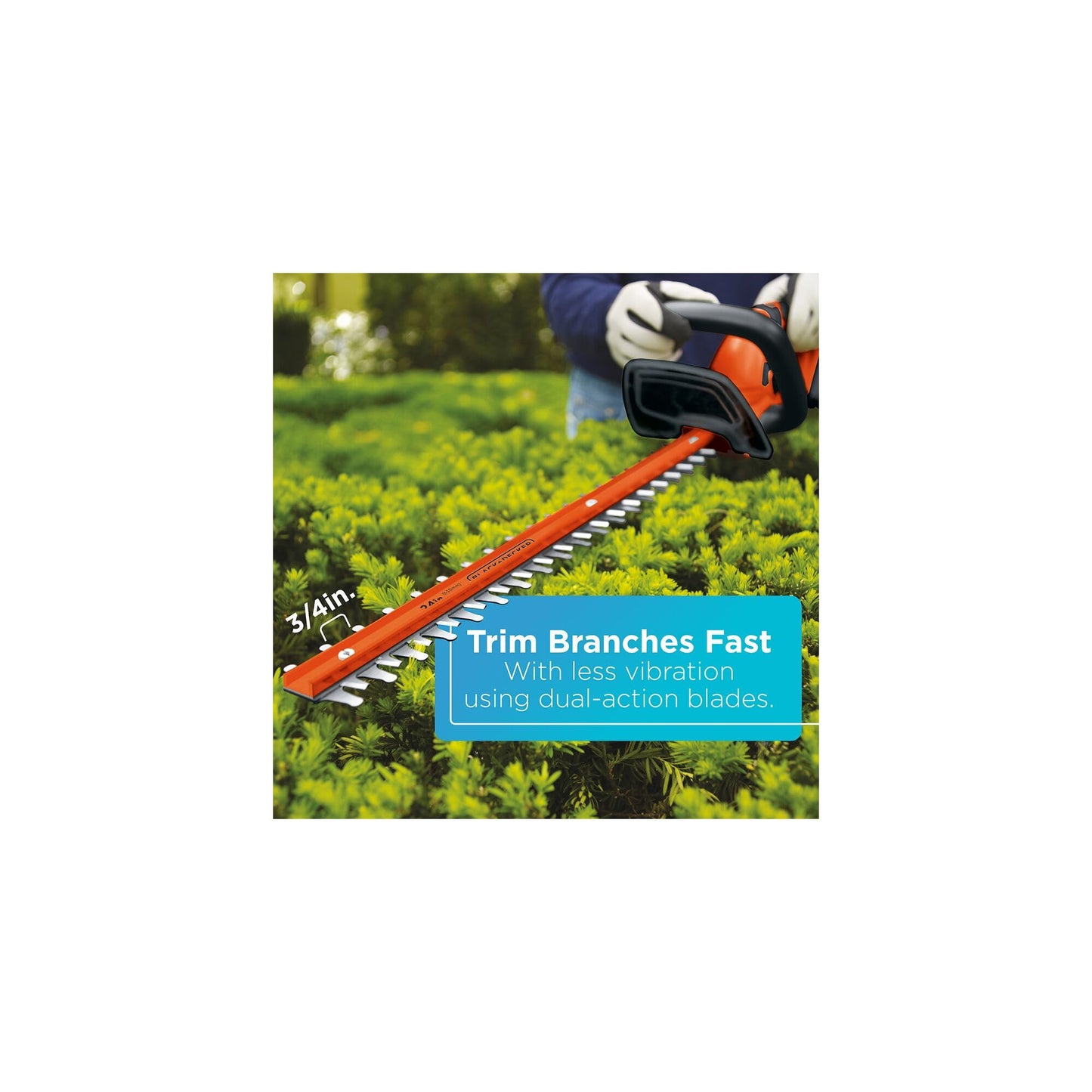 BLACK+DECKER 40V MAX Hedge Trimmer, Cordless, 24-Inch Blade, Battery and Charger Included (LHT2436)