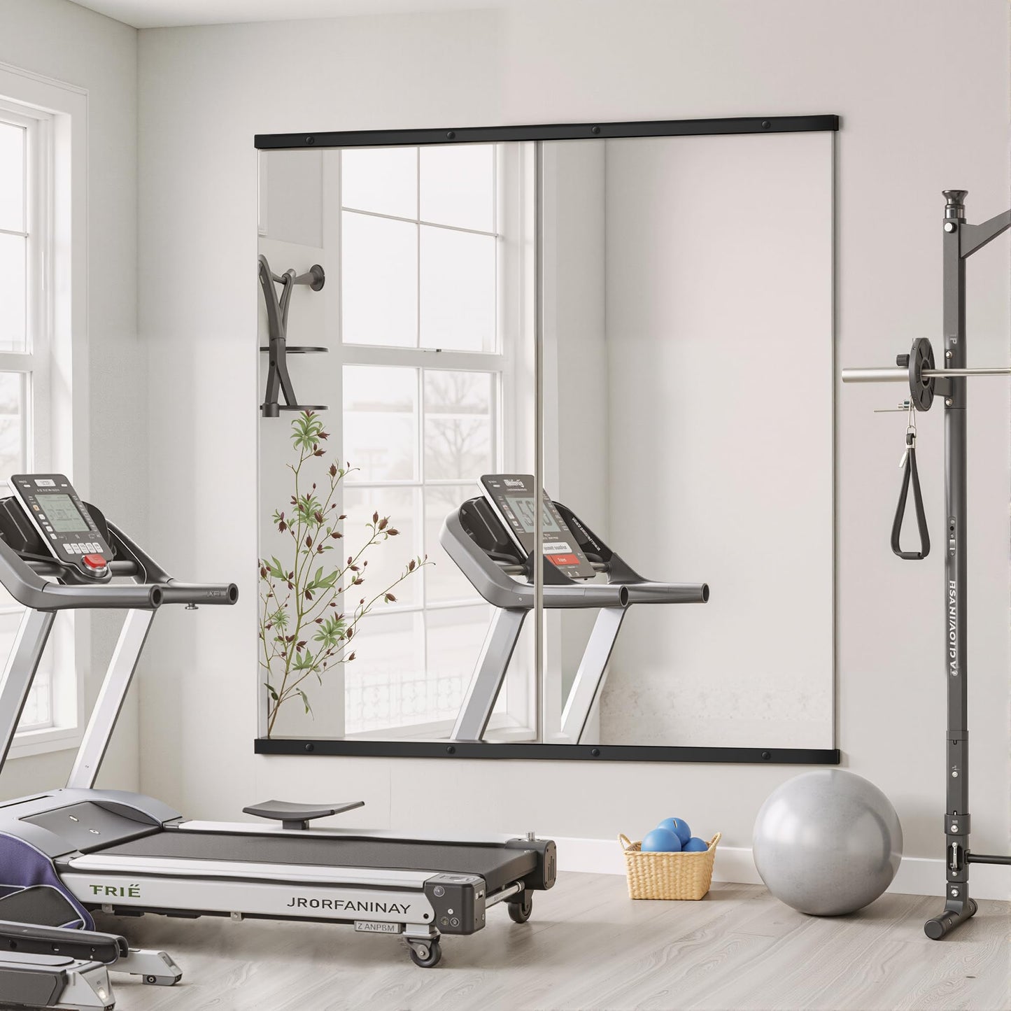 TRAHOME Home Gym Mirror for Wall,56x28x2PCS Full Length,Glass Frameless Body Large Mirror for Home Gym,Workout,Bedroom,Garage(Black)