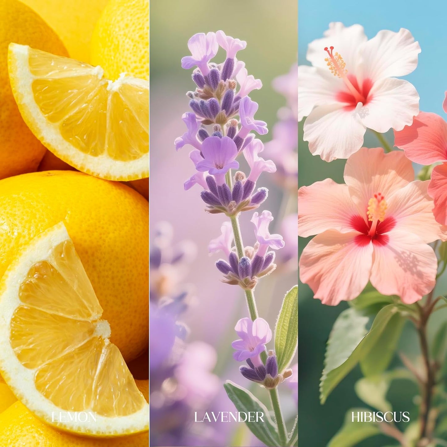 Skiennix Travel Size Toilet Spray - Bathroom Odor Eliminator | 3 Pack, 1 Fl Oz Each, Essential Oils Freshener in Lemon, Hibiscus, Lavender
