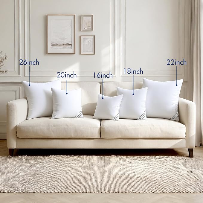 MIULEE 22x22 Inch Pillows Inserts, Pack of 4 Down Alternative Virgin Filling Comfy Support Throw Pillows for Sofa Couch Bed