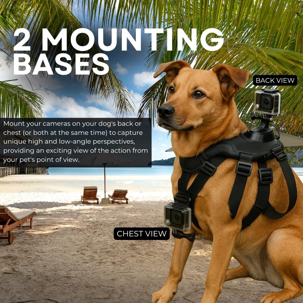 Ultimaxx Pet Action Camera Mount Harness - Compatible with Most Cameras