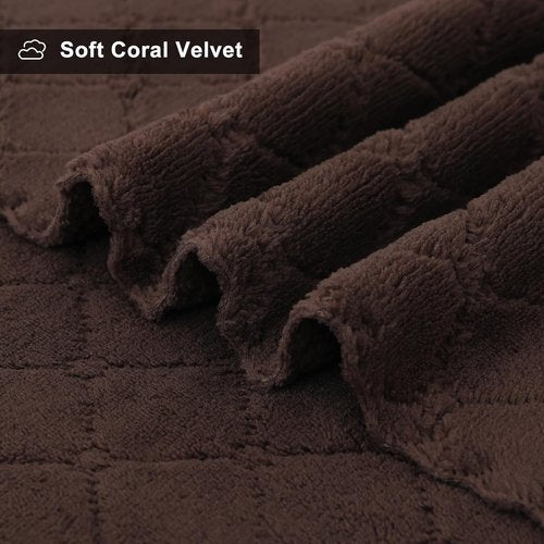 Homaxy Dish Towels - Super Soft & Absorbent Coral Velvet | 12 Pack, 13 x 19 Inches, Brown