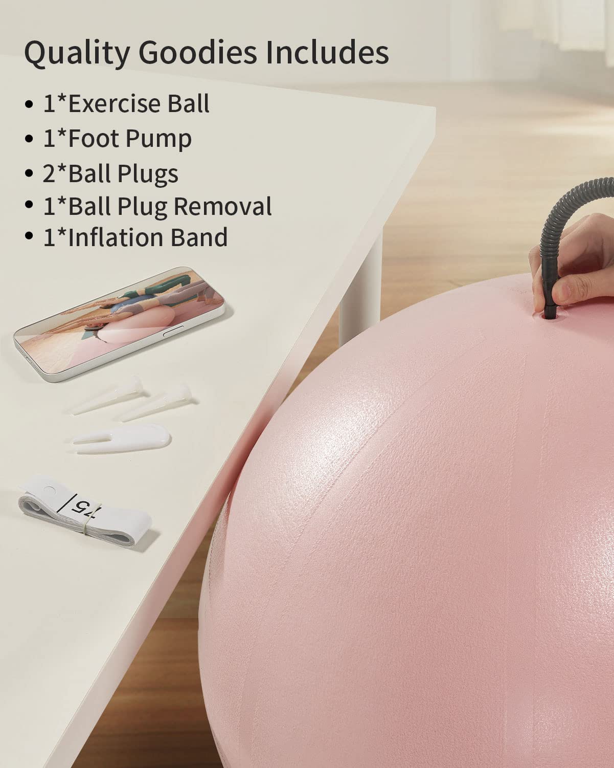 YOTTOY Exercise Ball for Pregnancy,Anti-Burst Yoga Ball for Physical Therapy,Stability Ball for Ball Chair Fitness with Pump (Pink)