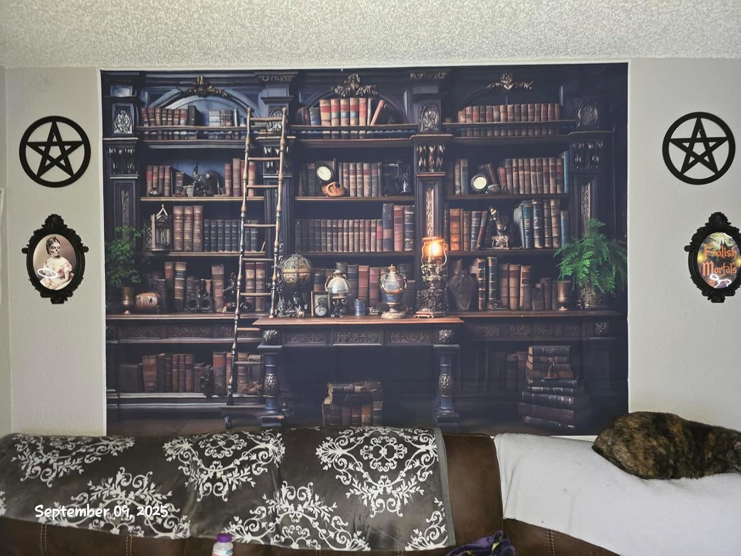 BINQOO Medieval Bookshelf Backdrop Bookcase Photography Background Bookshelf Library Backdrops Wall Hanging Dark