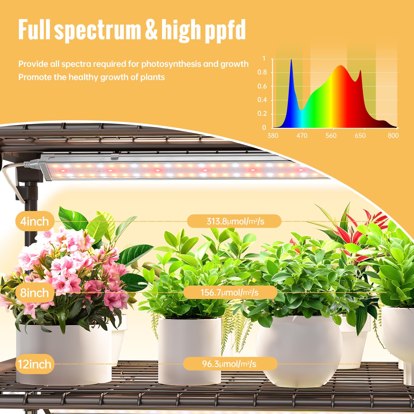 SpeePlant Indoor Greenhouse with Grow Light, 4 Tier, 1.6FT 80W Full Spectrum Grow Light with Timer, Portable Plant Shelves with Waterproof PVC Cover for Seed Starting, 26.4L X 19W X 61H