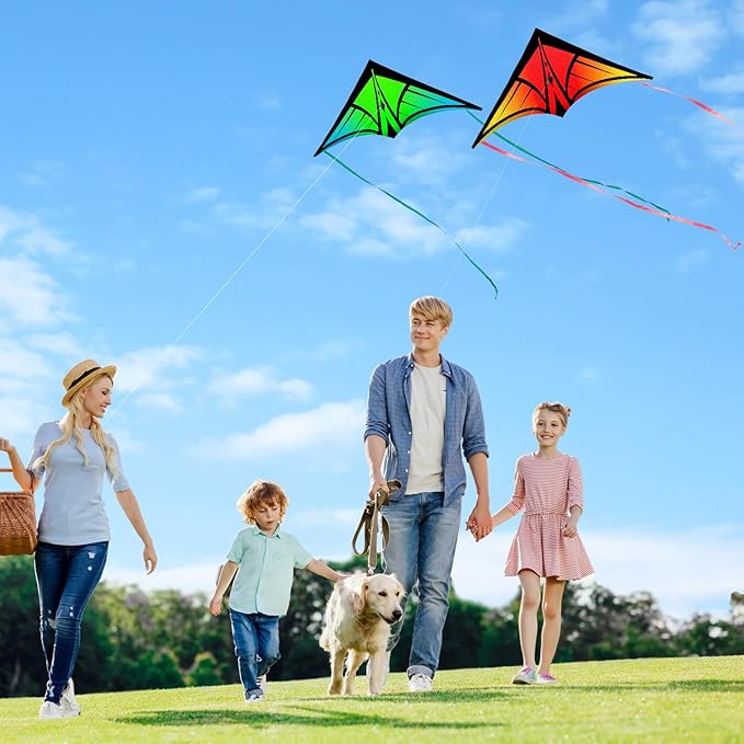 Large Delta Kite for Kids & Adults - Easy to Fly Outdoor Kites for Kids Ages 8-10, Perfect for Beach & Family Activities, Includes Line & Handle