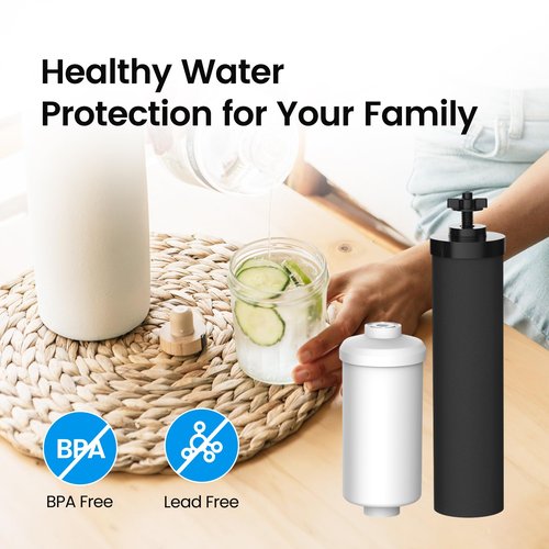 Filterlogic NSF/ANSI 372 Certified Water Filter, Replacement for Berkey® Black Filters (BB9-2®) & Fluoride Filters (PF-2®) Combo Pack