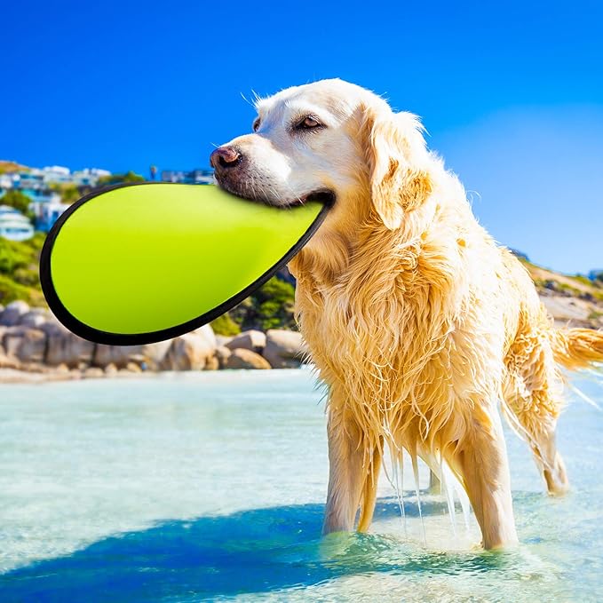 Norme 24 Pcs Foldable Flying Disc Fans with Bags Set 9.8'' Handheld Folding Fly Cooling Fans Beach Summer Flying Disc for Birthday Halloween Party Outdoor Activity Game