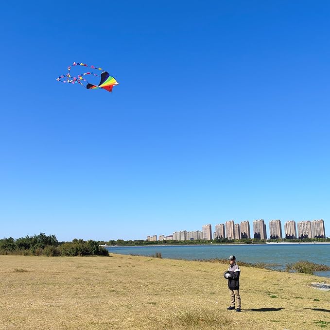 Delta Kite for Kids & Adults - Easy to Fly Large Single Line Beach Kite with 300ft String Handle Included, Perfect for Beginners, Teens