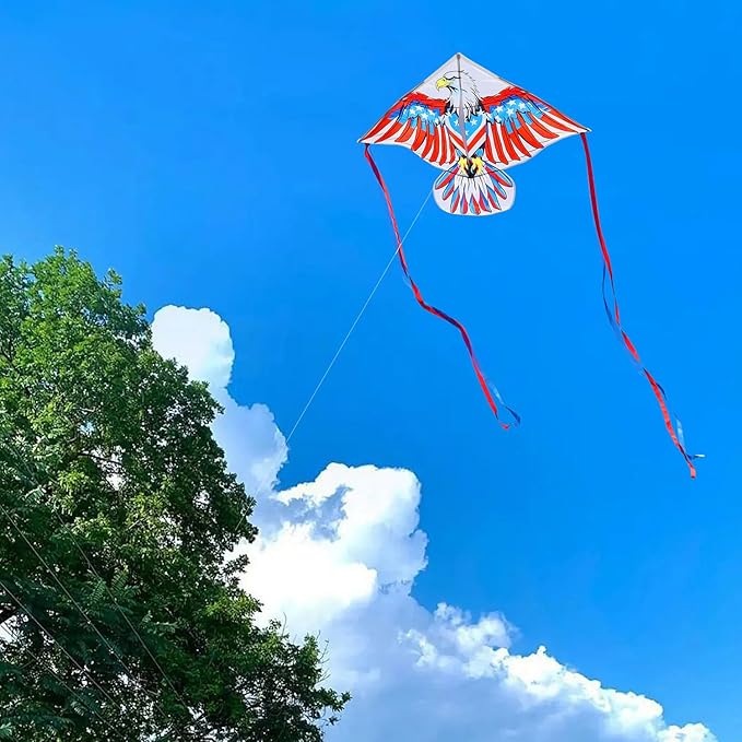 HONBO Eagle Kite, America Flag Kite for Kids and Adults. Wonderful Beginner Kite for Boys and Girls, Suitable for Ages 8-12, Best Single Line Kites Comes with 200ft String and Handle(Eagle)