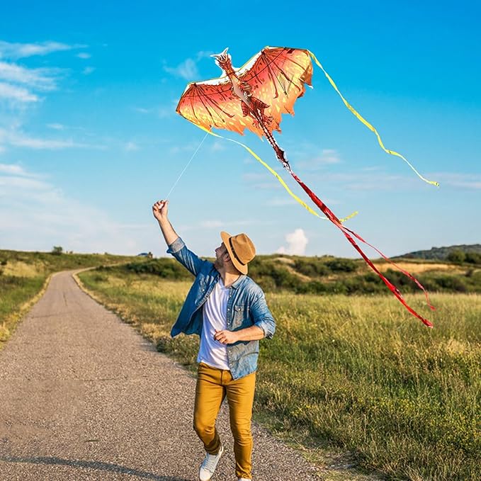 Mint's Colorful Life Dragon Kite for Kids & Adults, Easy to Fly Best Beach Kites for Beginners, 300ft Kite String Included