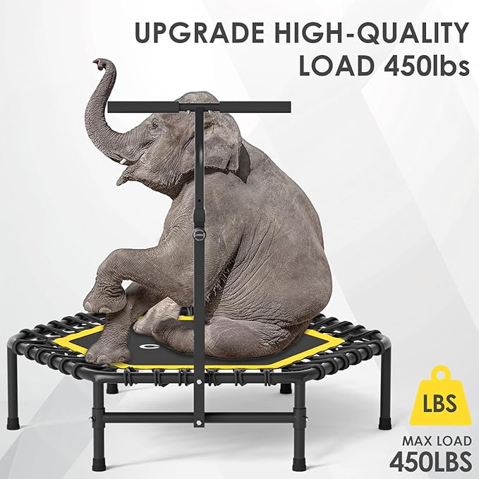 CLORIS 45'' Rebounder Trampoline for Adults - Max Load 450lbs, Mini Trampoline with Adjustable Foam Handle Indoor/Outdoor Fitness Body Exercise