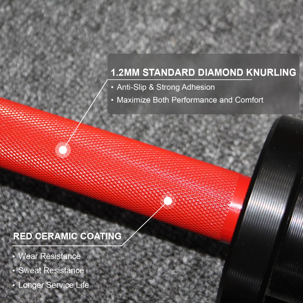 NP Pair of 16" Olympic Dumbbell Handles, Loadable Dumbbell Bars in Commercial Grade for 2-inch Olympic Weight Plates Great for Home Gym Strength Training, Weight Barbells with 2 Pair of Spring Collars, Red
