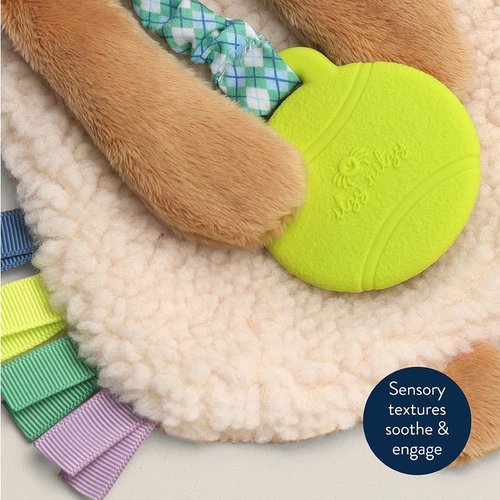 Itzy Ritzy - Itzy Lovey with Teether | Soft Puppy Lovey with Crinkle Sound & Textured Ribbons