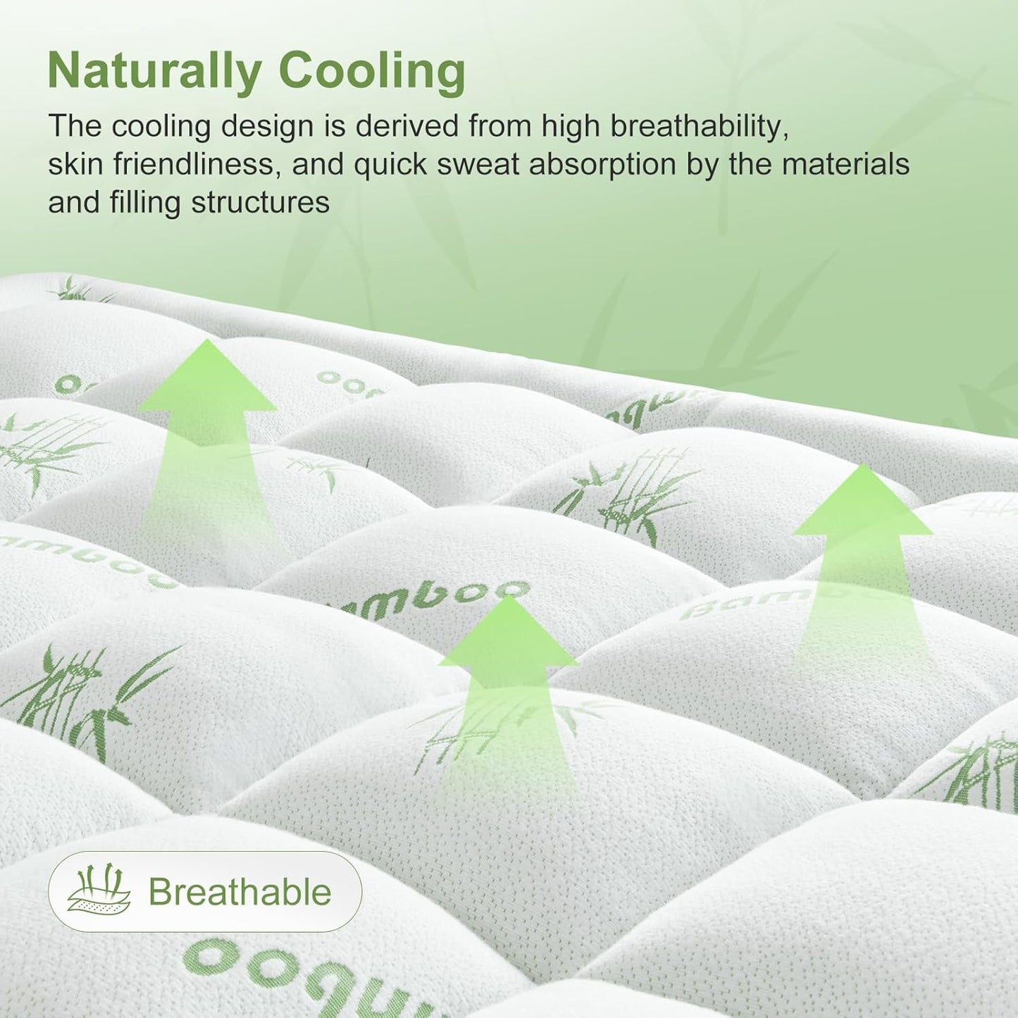 Skiennix Queen Size Mattress Topper - Soft Bamboo Viscose Pillow Top for Back Pain Relief | Cooling Protector, 8-21 Inch Deep Pocket, White