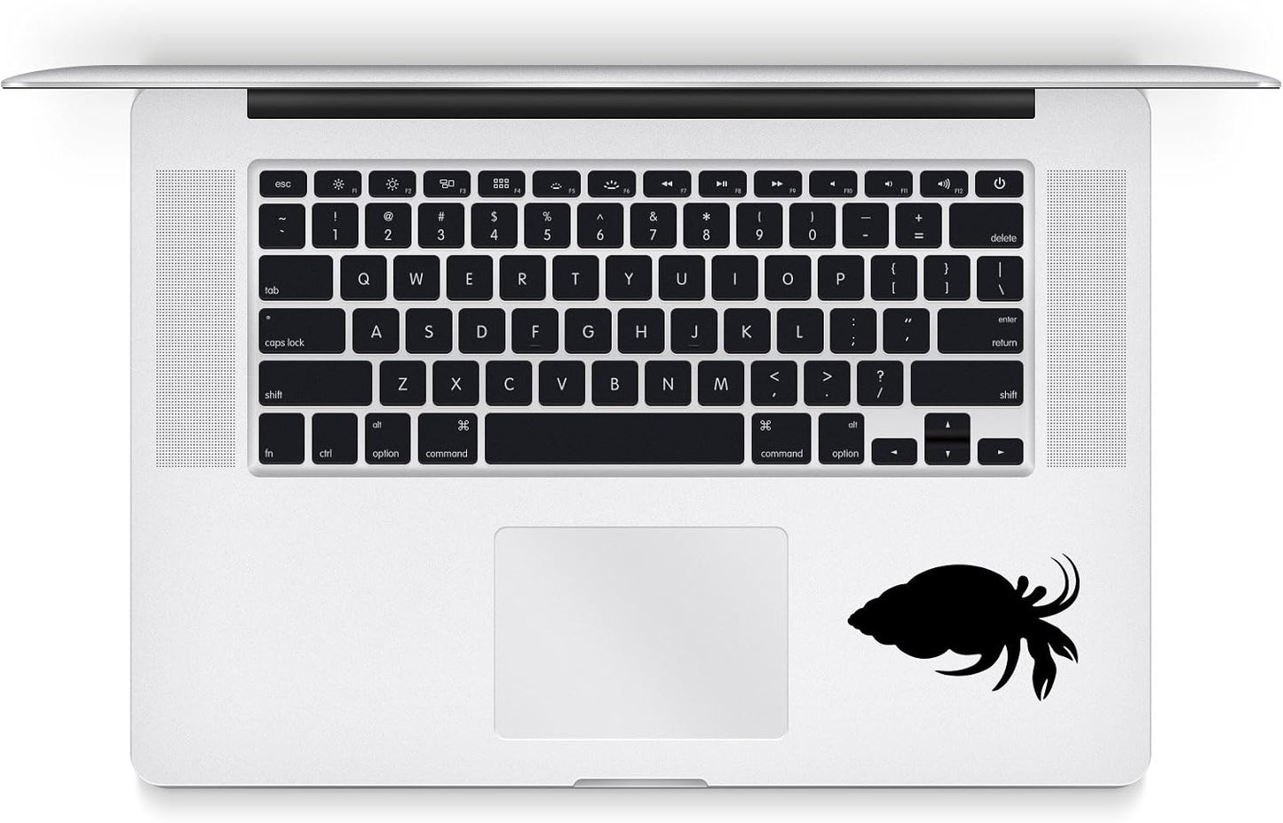 AK Wall Art Hermit Crab - Vinyl Decal - Car Truck Laptop - Select Size