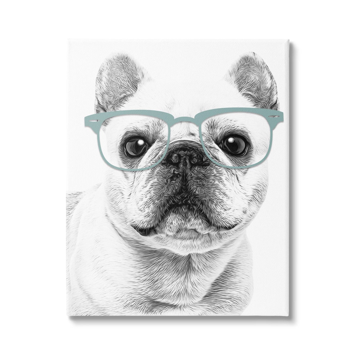 Stupell Industries Cute Monochrome French Bulldog Wearing Glasses Illustration, Design by Annalisa Latella