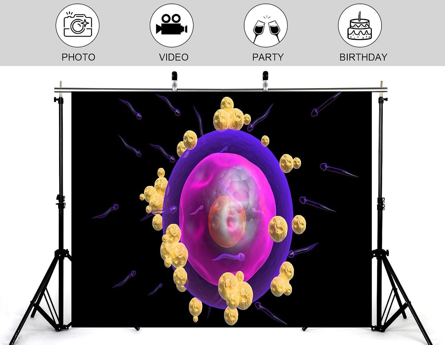 KeyWork 5x3ft Human Egg Cell Fertilization Backdrop Reproductive Science Photography Background for Health Fair