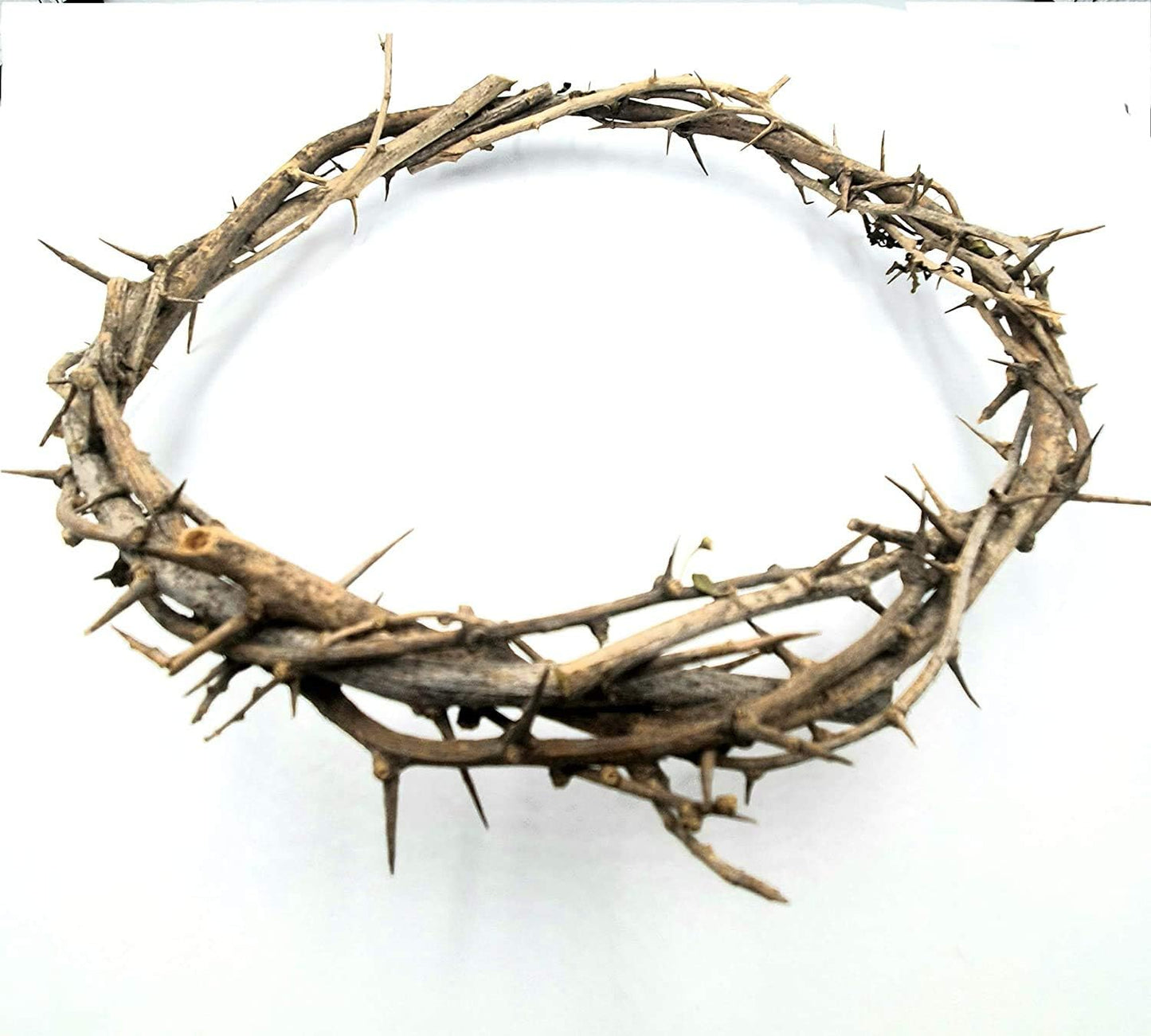Passion of Christ Crown of Thorns - Authentic Religious Symbol | Unique Home Decor