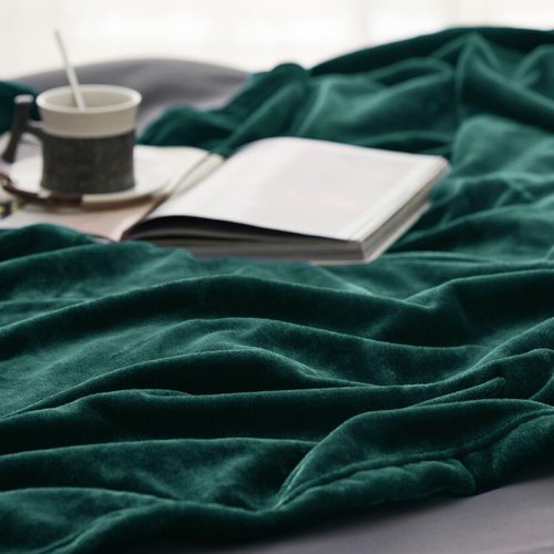 Bedsure GentleSoft Fleece Blanket - Cozy Emerald Green Queen Size Microfiber, 90x90 Inches