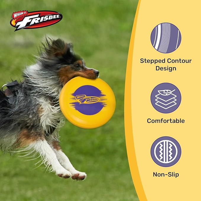 Wham-O Frisbee Cool Flyer Flying Disc, 9.95 Inch Sports Disc Lightweight Durable for Outdoor Beach Park Backyard Game - 130g