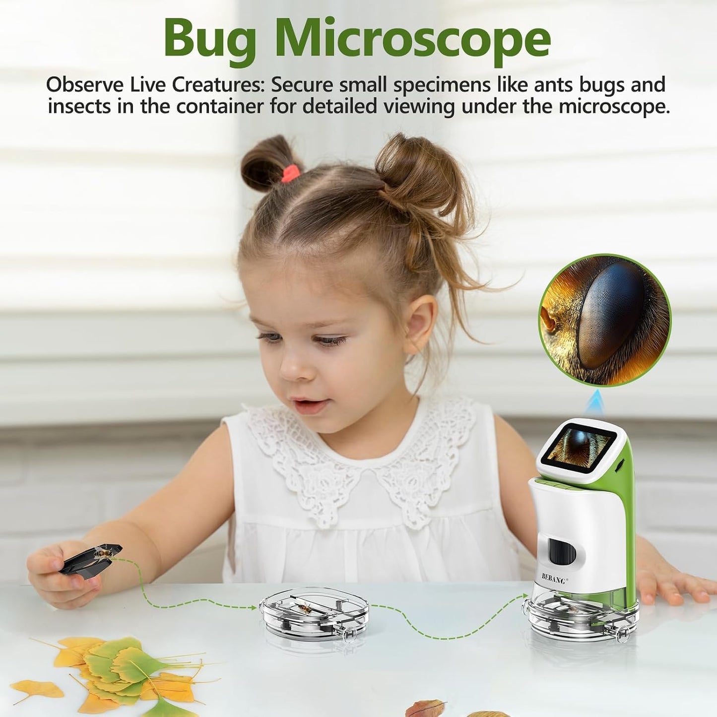 BEBANG 4K 2.0" 1000X 4-12 Set, 32G Detachable Kids Handheld Microscope Miniscope - HD Screen, Digital Pocket Toy