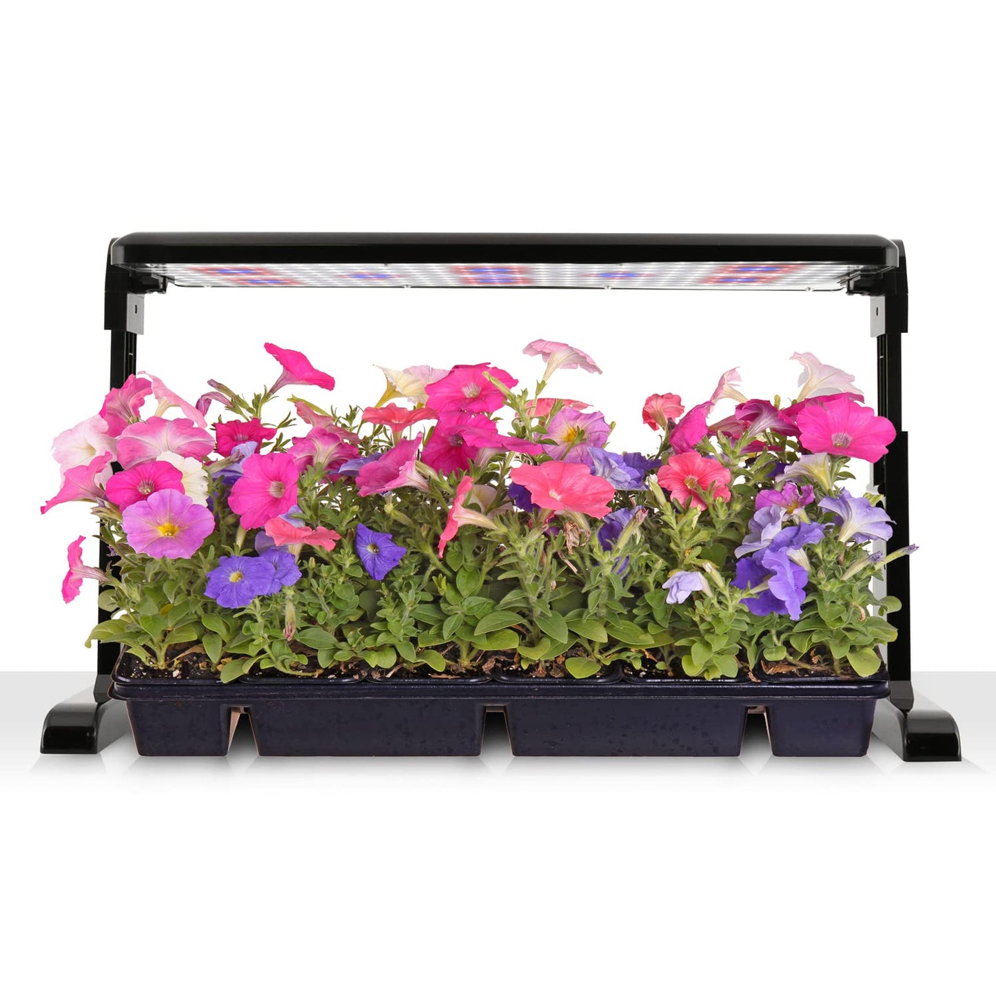 AeroGarden 45W LED Grow Light Panel - Grow Light for Plants, Includes Stand and Hanging Kit