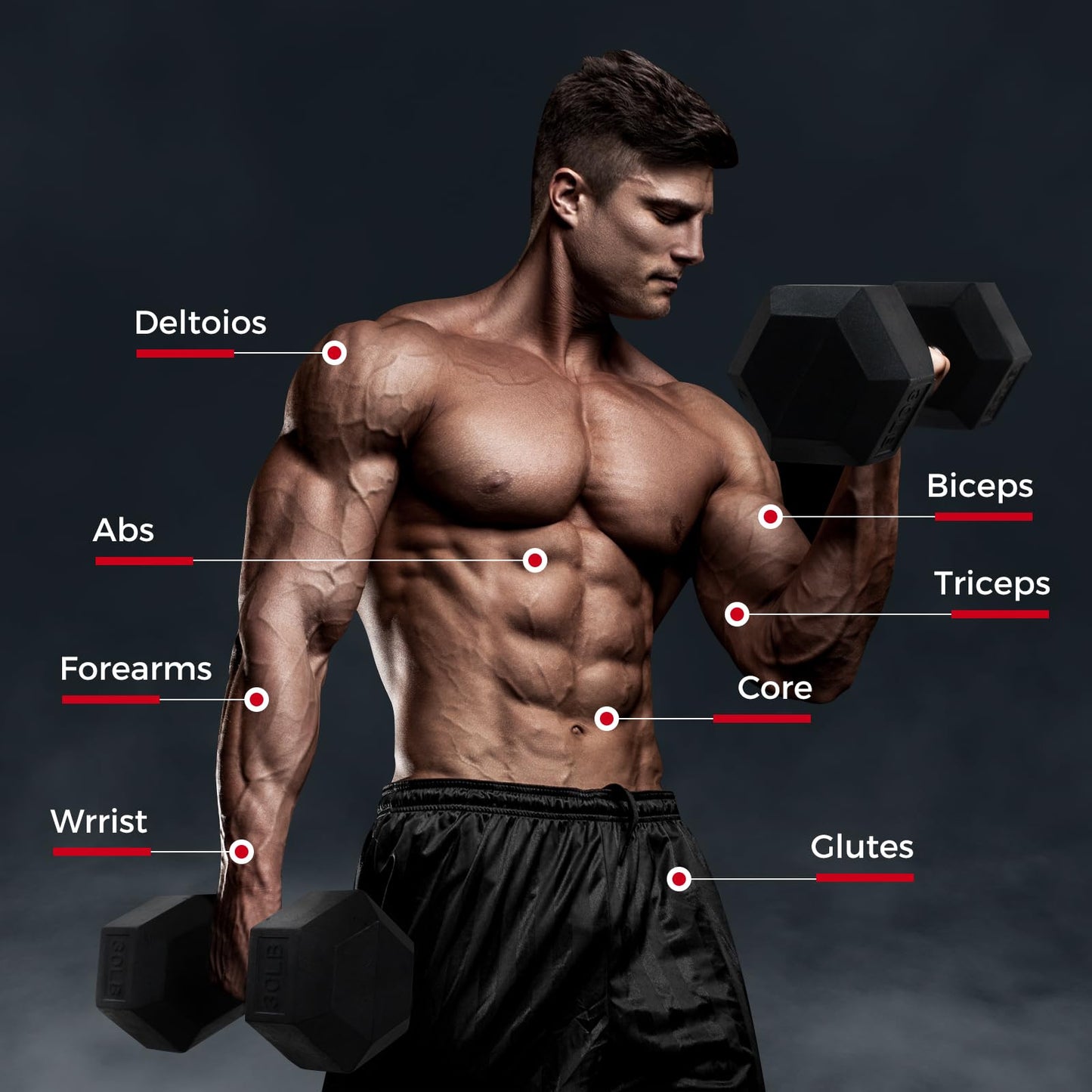 RitFit 5-780LBS Rubber Coated Hex Dumbbell Weight Set with Rack and Adjustable Weight Bench for Home Gym, Strength Training, Workouts