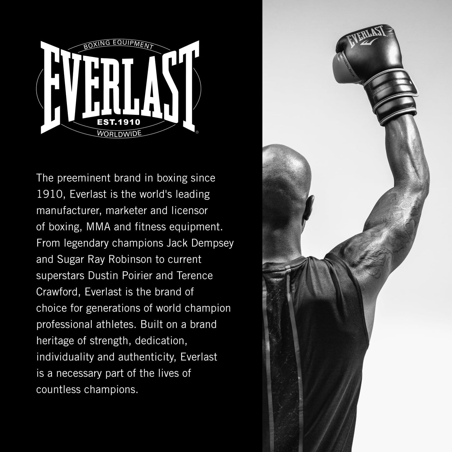 Everlast Powerlock Speed Punching Bag | Premium Leather Speed Bag for Boxing & MMA | Durable Reflex Training Boxing Bag for Hand Speed Accuracy & Home Gym Workouts