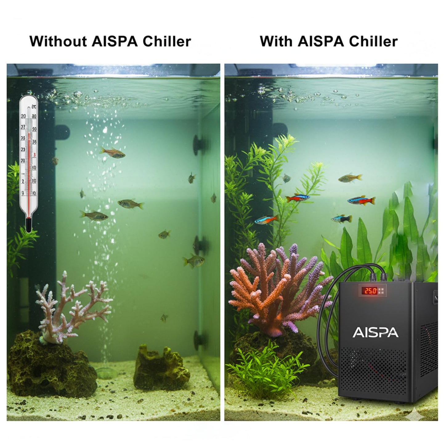 AISPA Aquarium Chiller 1/10 HP, 42GAL Fish Tank Water Chiller