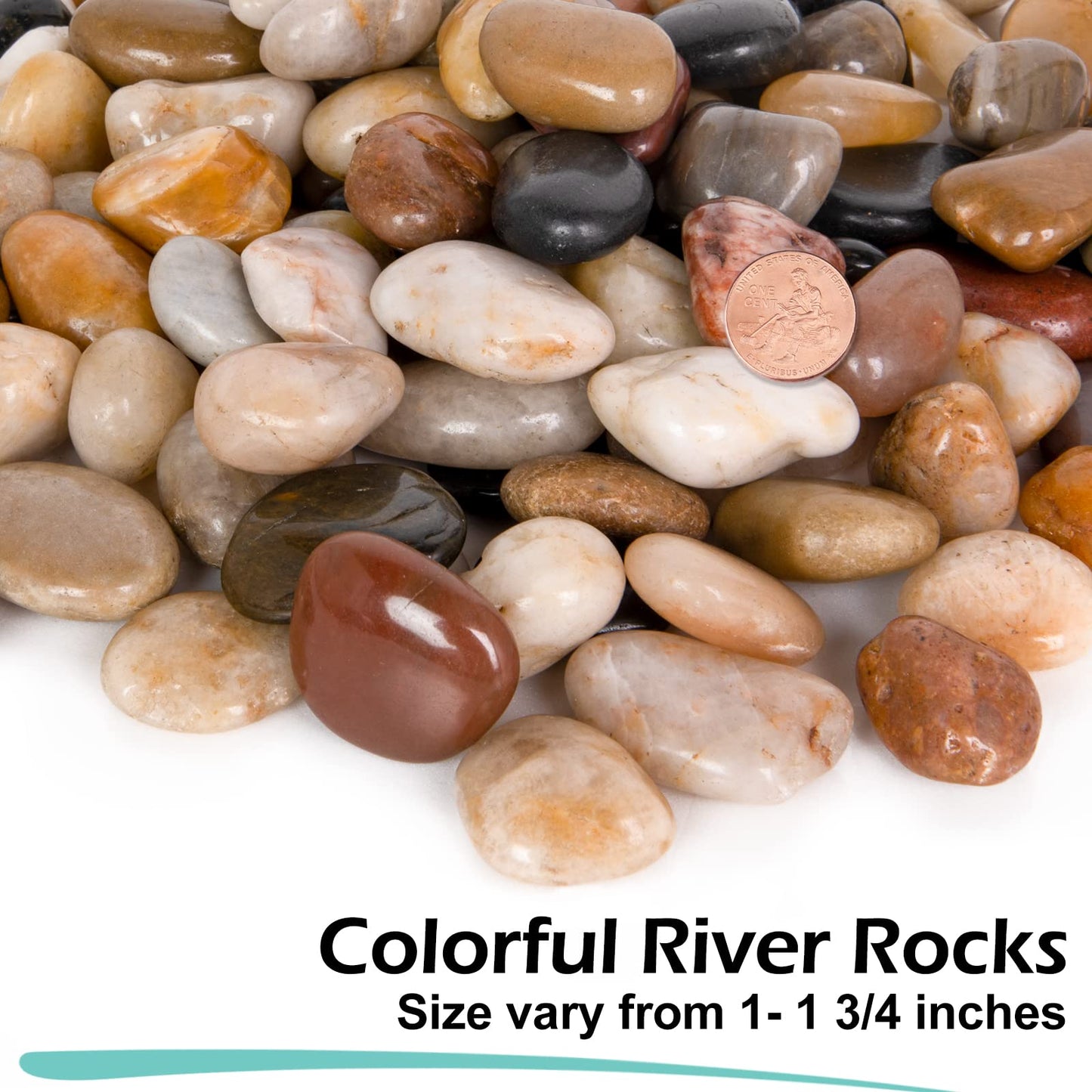 GASPRO 23 Pound River Rocks, Decorative Pebbles for Plants, Garden, Landscaping, Succulent, Vase, Highly Polished, 1/2-3/4 Inch