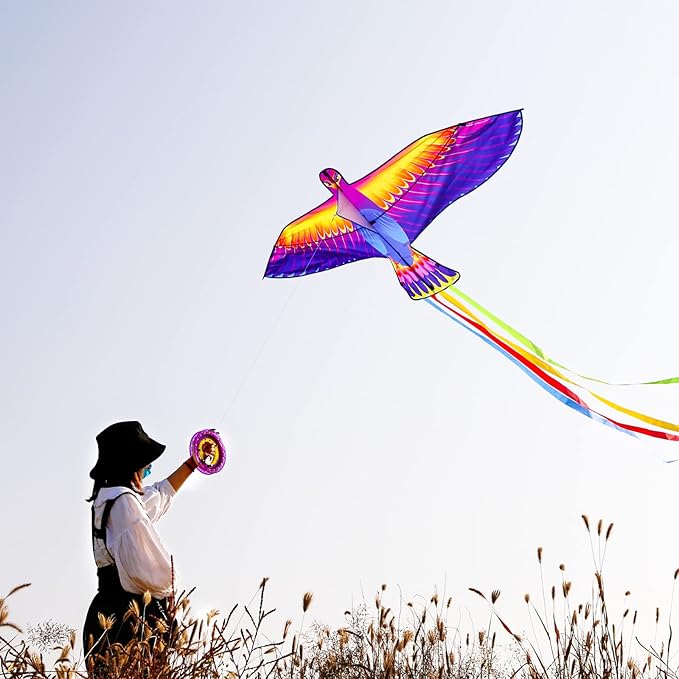 Mint’s Colorful Life Large Kite for Kids and Adults, Easy to Fly Single Line Beach Kites, Comes with 300ft String Handle