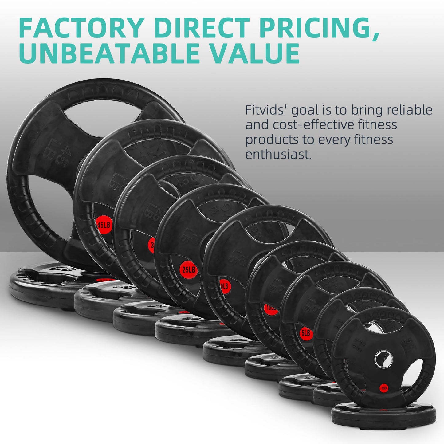 Fitvids 1 Inch Standard Barbell Weight Plates and Bar Set, 5 FT Barbell Bar and 35 LB(2.5-10 LB) Barbell Weight Set for Home Gym Strength Training, Rubber Coate Design