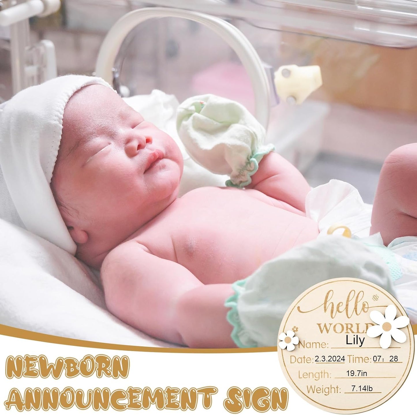 Baby Monthly Milestone Cards with Hello World Newborn Sign, Daisy Baby Milestone Signs Baby Monthly Milestone Wood