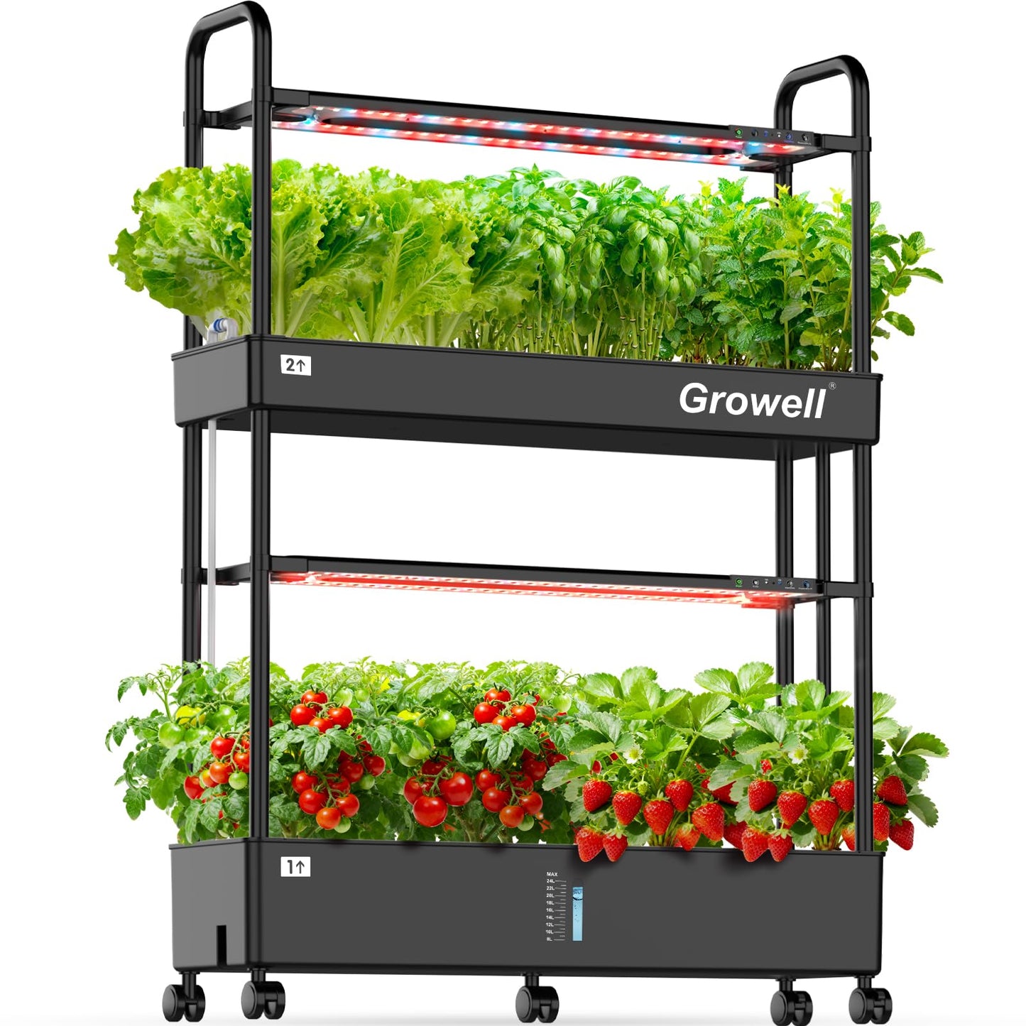 Growell 60 Pods Hydroponics Growing System & 120 Pack Grow Sponges