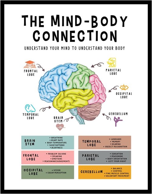 Mind Body Connection Poster - Human Brain Anatomy Print for Therapy Office Decor | 8x10 Unframed