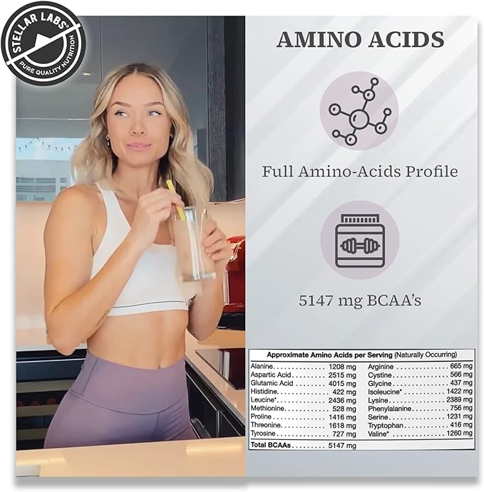Stellar Labs Whey Protein Powder with BCAA's & Whey Isolate | Certified Low FODMAP, Non GMO, Gluten Free, Low Carb, Keto, with Stevia | All Natural Lean Post Workout Shakes | Chocolate