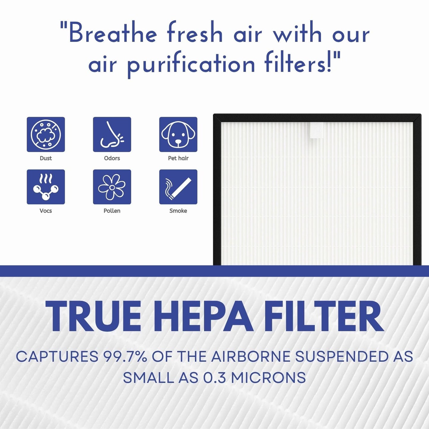 Nispira HEPA Filter Replacement for Rabbit MinusA2 Ultra Quiet Air Purifier SPA-780A, SPA-700A, AP-1004, 2 Packs