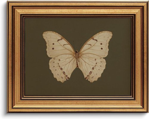 Gold Framed Vintage Butterfly Canvas Wall Art - Moody Insect Artwork for Living Room, 8x10