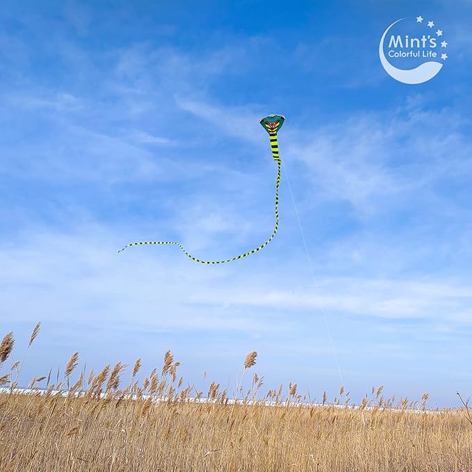 Large Cobra Kite for Adults Kids Boys with Super Long Tail, Extra Easy to Fly, Best Huge Kites for The Beach/Party/Field/Park, It Will Dominate The Sky!