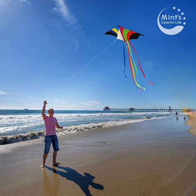 Mint's Colorful Life Delta Kite for Kids & Adults, Extremely Easy to Fly Kite, Best Kites for Beginner