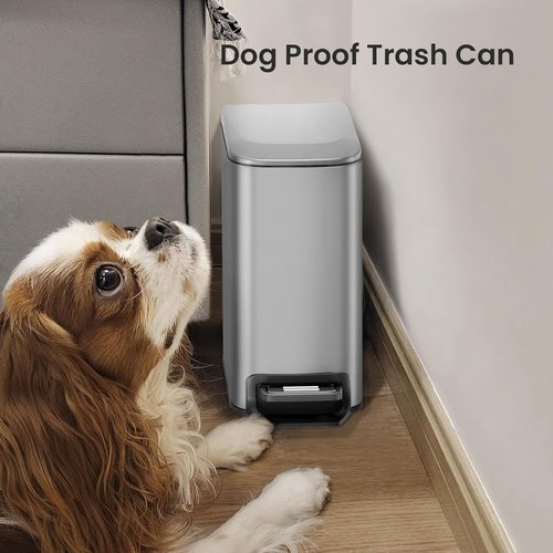 Cesun Stainless Steel Small Bathroom Trash Can - Soft Close Lid & Step Pedal | 6 Liter Mini Bin (Silver)