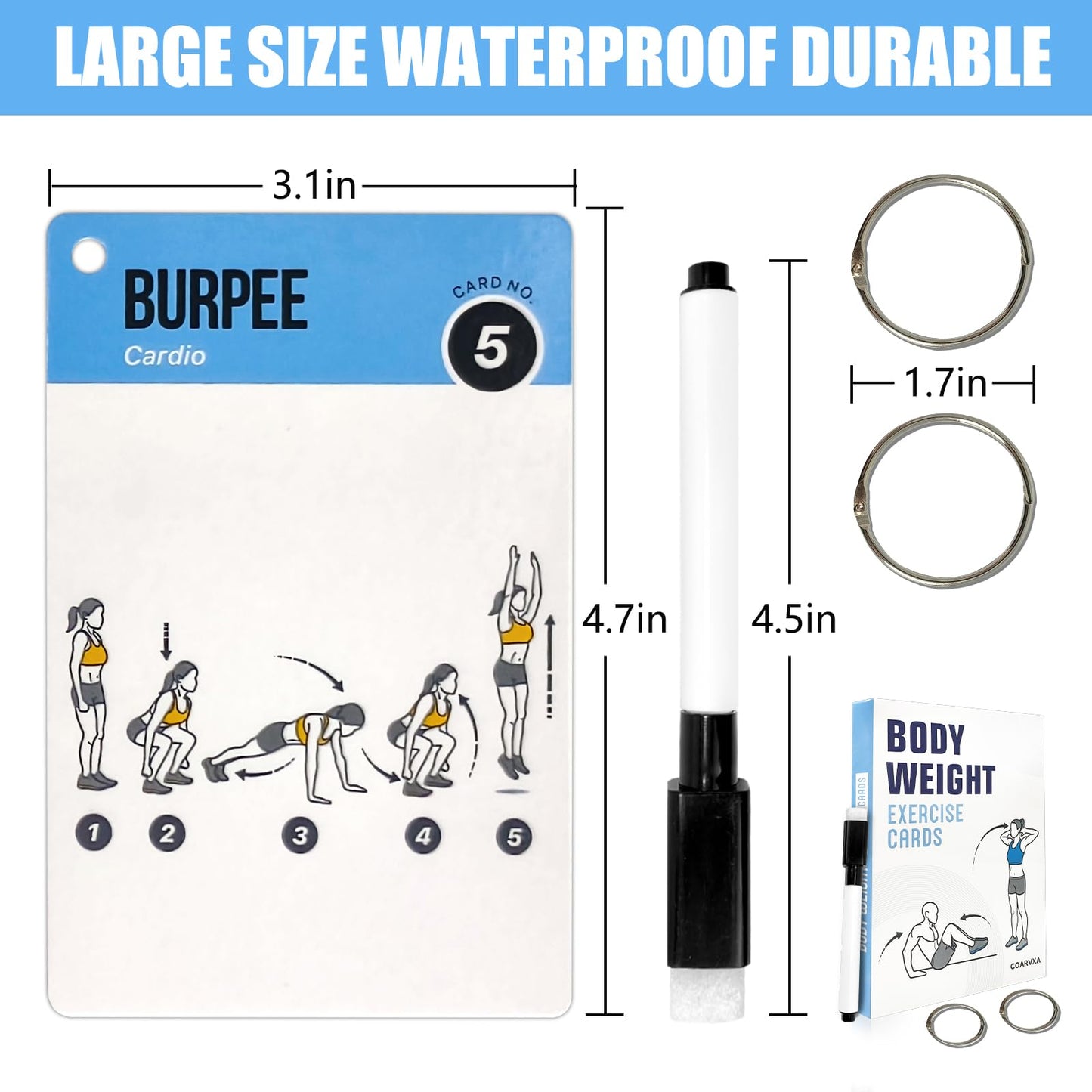 Bodyweight Workout Cards for Women & Men-50 Bodyweight Workout Cards，Includes 2 Rings& Dry-Erase for Easy Organization-Home, Gym or Studio (Bodyweight)